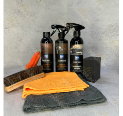 Набір для повного очищення салону CARTEC