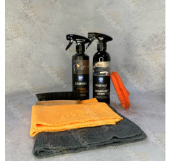 Набір для очищення салону CARTEC