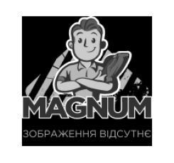 Мийка високого тиску DOLPHIN BF22-P